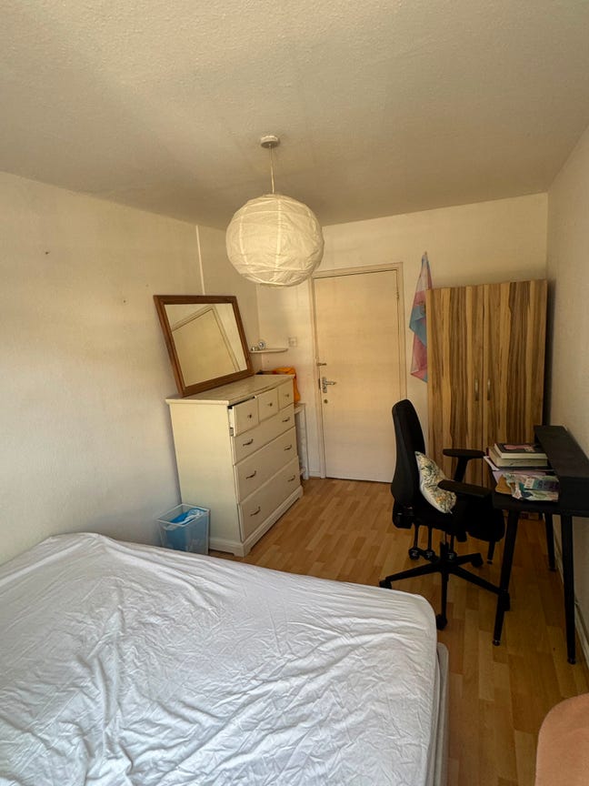Double Room in Large Bright Flat in Bethnal Green Main Photo