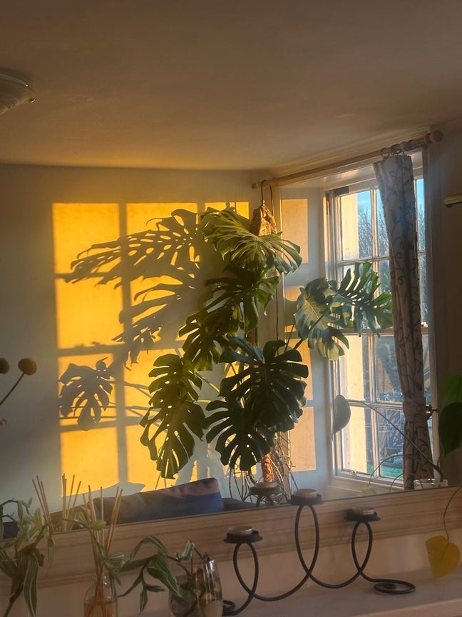 Beautiful central 3 bed flat looking for housemate Main Photo