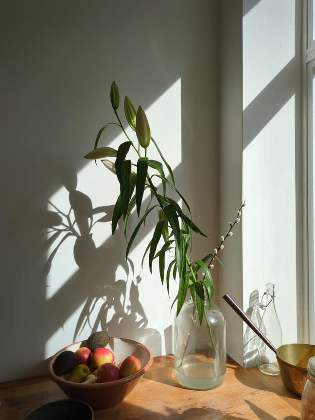 Sunny double room with garden view Main Photo