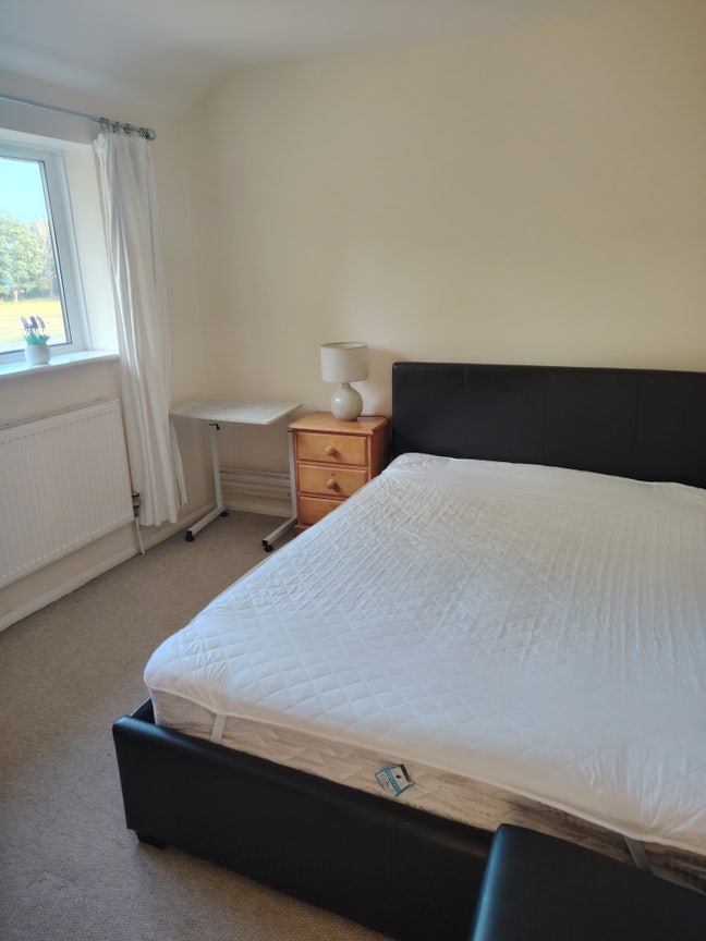 Room for Rent Main Photo