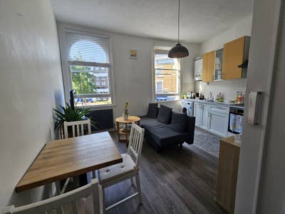 Light filled double room - short sublet  Main Photo