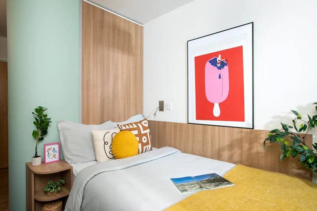 Room available for summer Main Photo