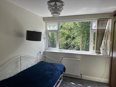 Well sized single room Main Photo