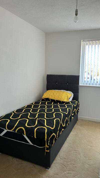 Single Blight Room Available. Main Photo