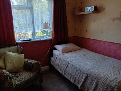 Single room in clean comfortable home Main Photo