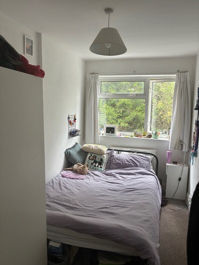 Room available in sociable house Main Photo