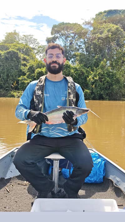 Brazilian student, 29, Looking for a Room Main Photo