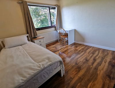 Bright Spacious Room | Bills Inc | Direct City Bus Main Photo