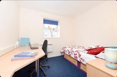 Double en-suite room available in snowdon hall  Main Photo
