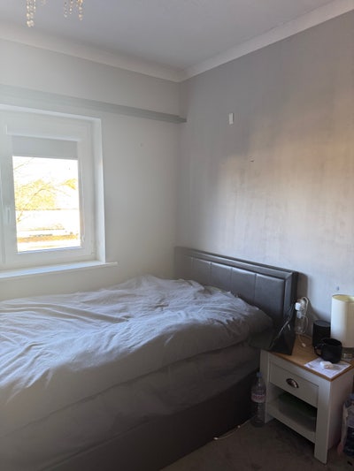 Single room for rent  Main Photo