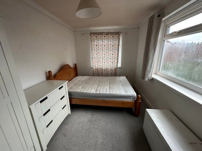Double Bed Room- Need Someone Friendly, Respectful Main Photo