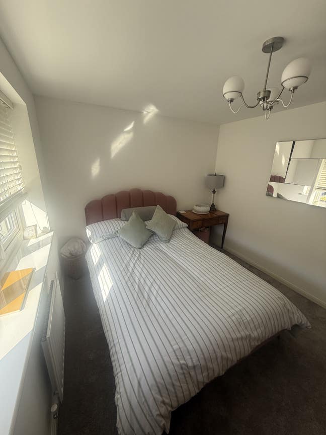 Room to let in Malpas Main Photo