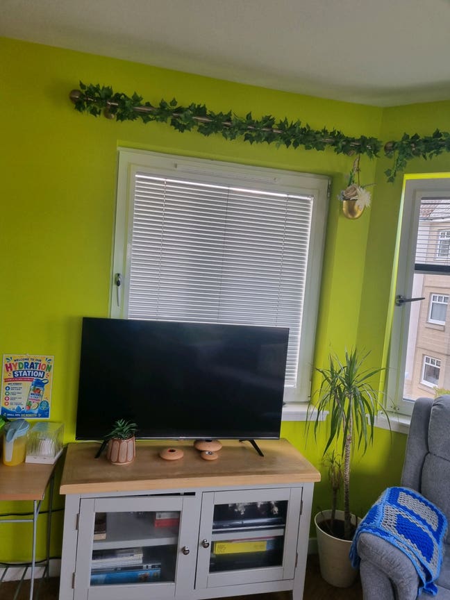 Flat/ house to rent Main Photo