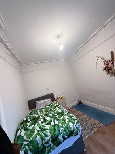 Looking for a replacement  Main Photo