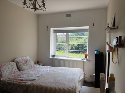 Bright Single Room  in Friendly North Acton Main Photo