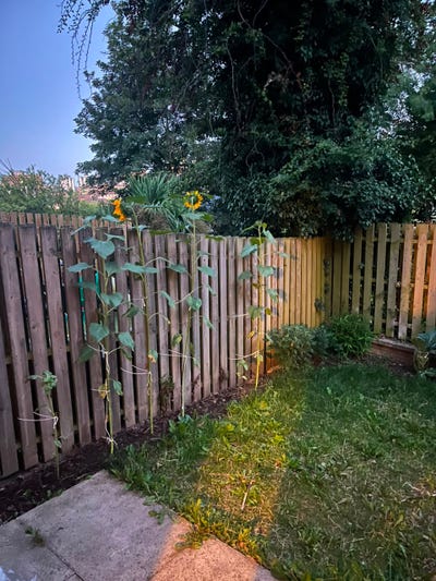 Spare Room to Let — Large Ensuite Double, Walkley Main Photo