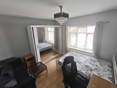 Looking for friendly & easy-going Student/Professi Main Photo