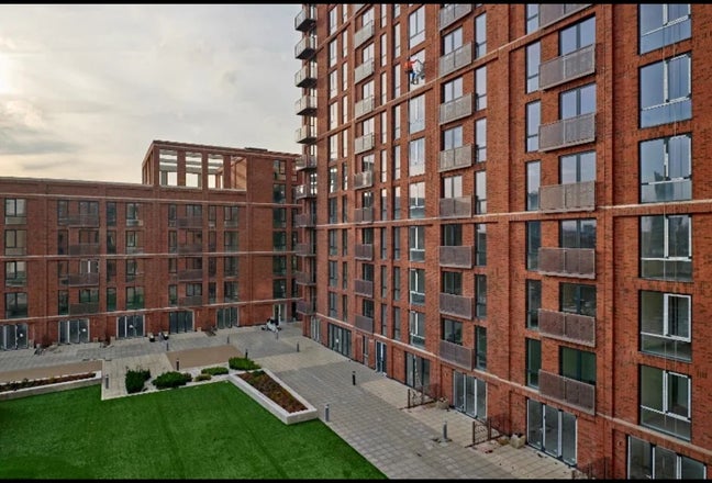 Seeking Animal-Loving Roommate for Nice Apartment  Main Photo