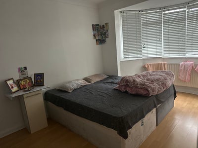 Small double room available  Main Photo