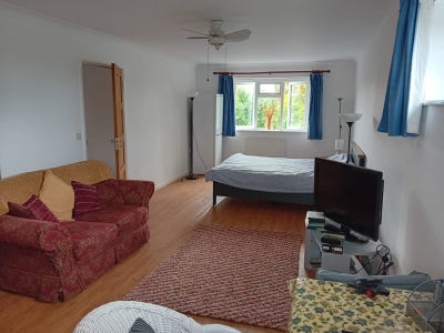 Spacious room in quiet village close to Ely Main Photo