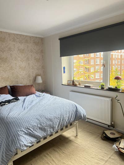 1 br in a spacious 3b flat in Paddington  Main Photo