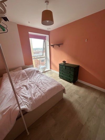 Double Room for rent in spacious 2 bed flat  Main Photo