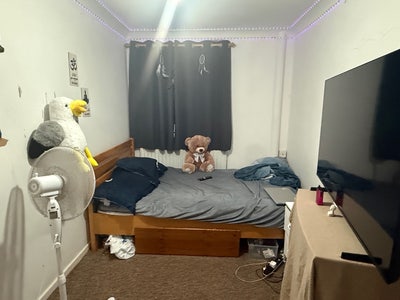 Single room  Main Photo