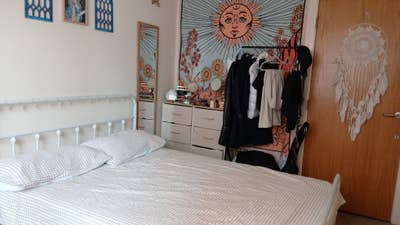 Looking for a Female to Share in Noma  Main Photo