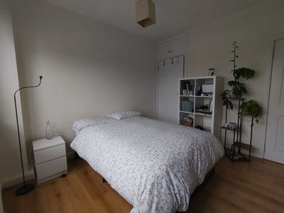 Beautiful Double Room for Rent Main Photo