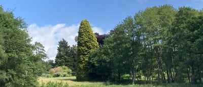Unique lodging for single occupant Main Photo