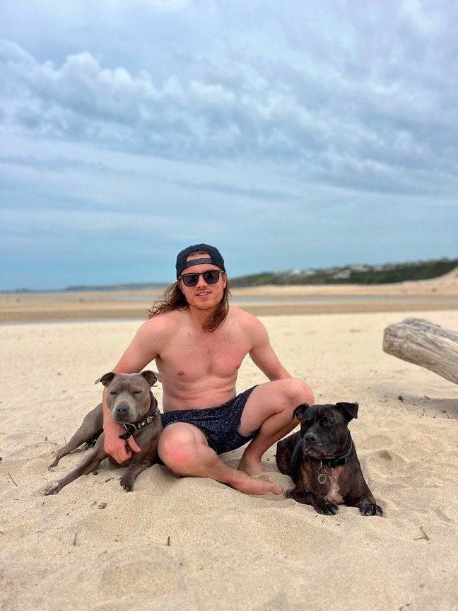 In need of a room / house share  Main Photo