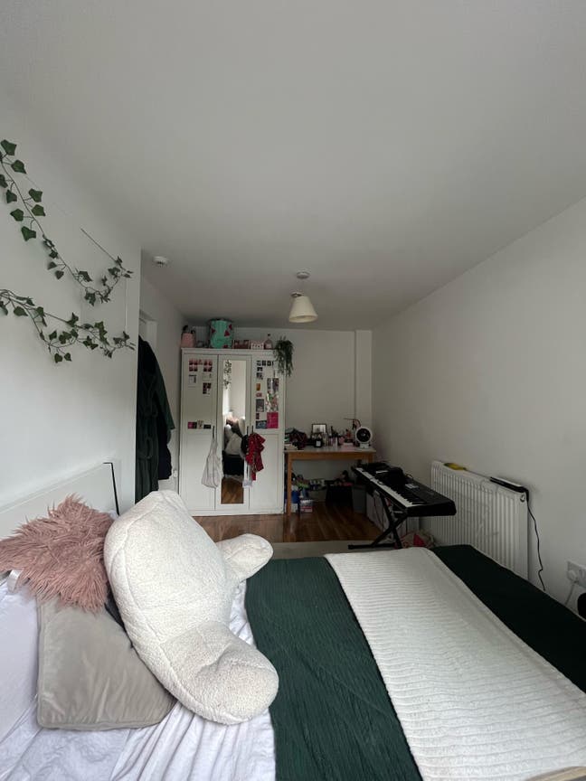 Double room 3 minutes from Rotherhithe station Main Photo