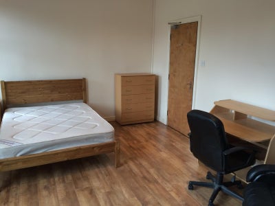 Edgbaston large double in professional houseshare Main Photo