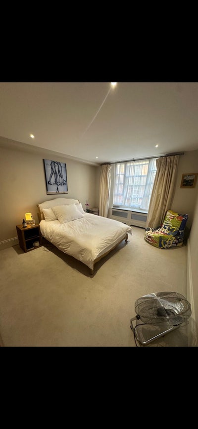 Room in Bayswater  Main Photo