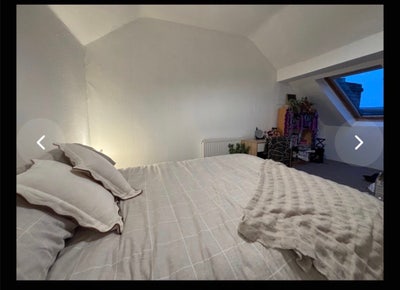 1 Off-Suite Room Available for Student in 4 Bed Main Photo