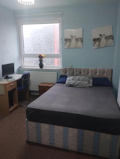 Double Room Available Now! Main Photo