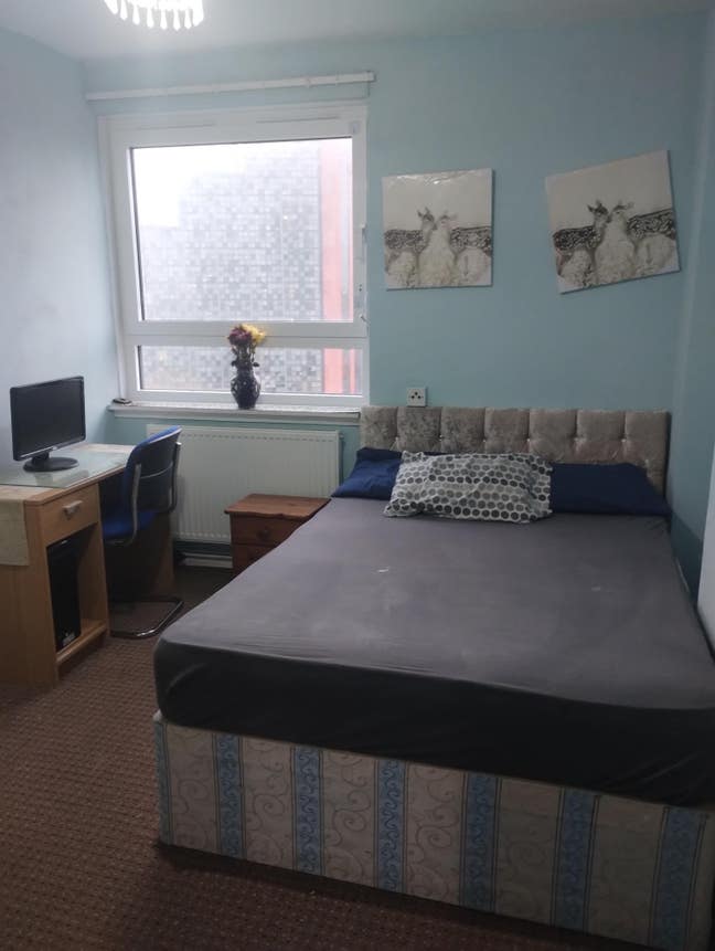 Double Room Available Now! Main Photo