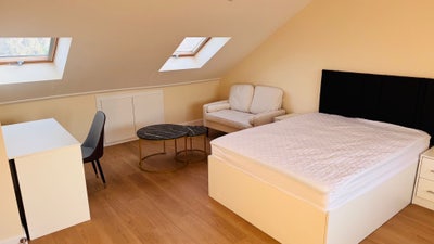 Large New Ensuite Near Langley Station Main Photo