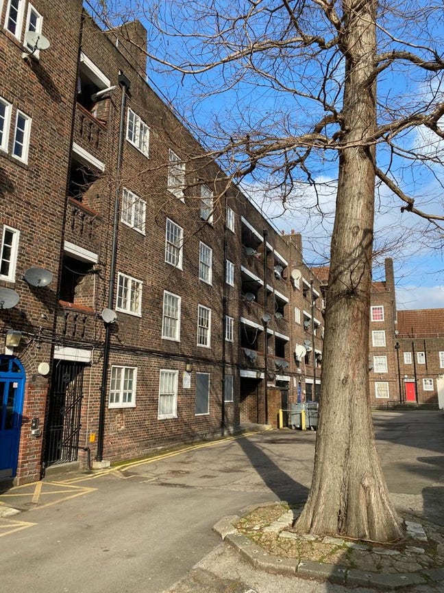 64 Angus House Main Photo
