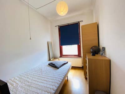 Room available Leyton Main Photo