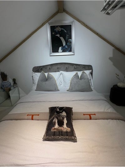 Room share in Wonderful Modern Victorian House Main Photo