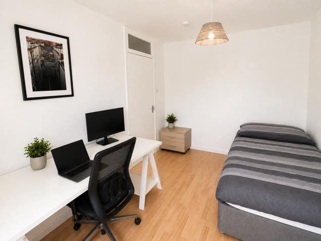 Big Room 🌿 Walk To Vicky Park + Tube 🚆✨ Main Photo