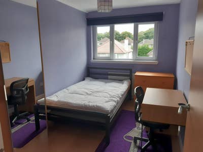 Small double room available for a single semester Main Photo