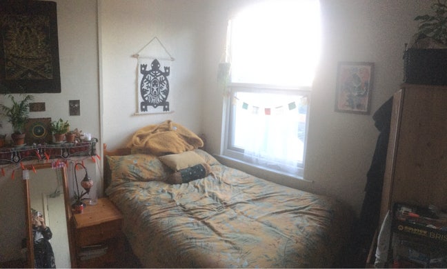 😻🎷 Room in cat friendly musical, arty household. Main Photo