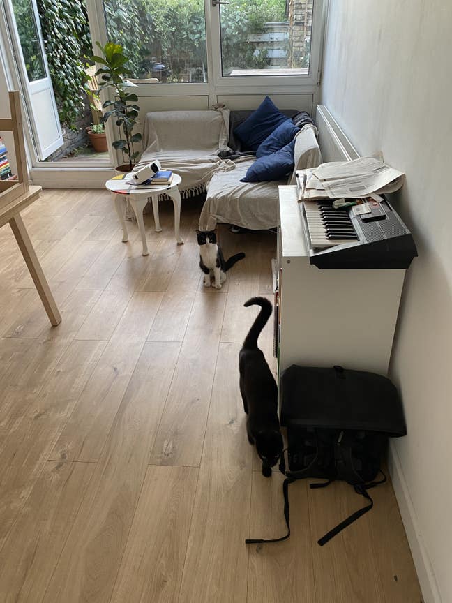Pretty Camberwell flat for rent in August Main Photo