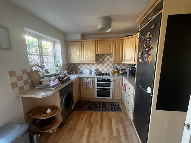 Room available for Rent  Main Photo