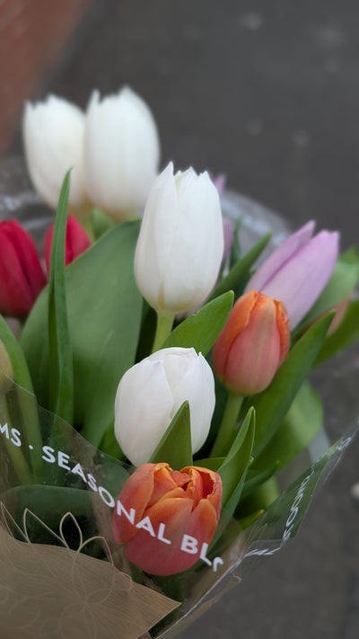 I am a professional female aged 28. I am look... Main Photo