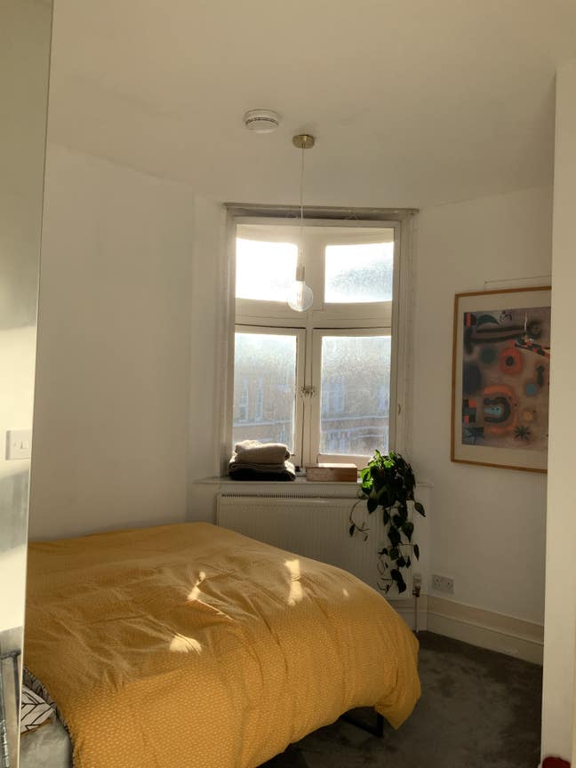 Room in Fitzrovia Main Photo