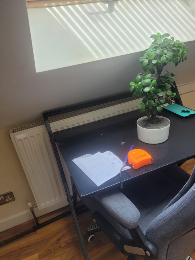 Bright Newly furnished room  Main Photo