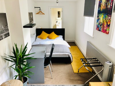 Spacious well appointed room to let  Main Photo